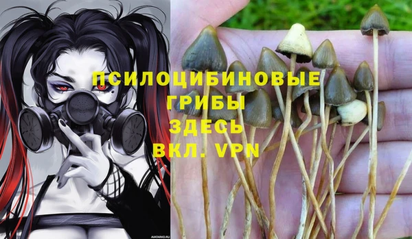 альфа пвп Мегион