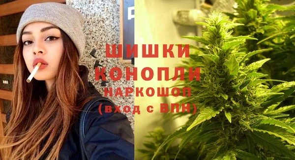 spice Медвежьегорск